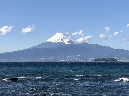 富士山の麓が栽培地